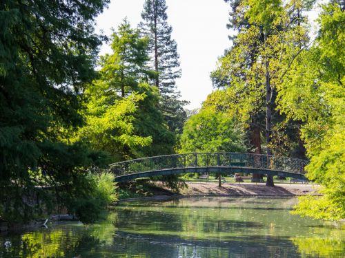 The Public Garden 