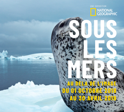 EXPOSITION "SOUS LES MERS" AU MUSÉE MER MARINE À BORDEAUX